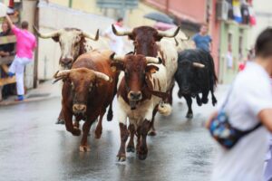 4 Key Factors Driving Bitcoin to $120K: A Price Rally Ahead?