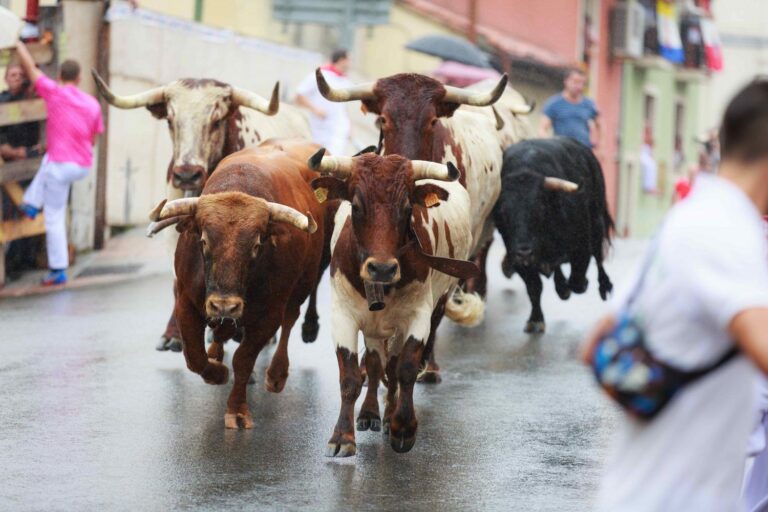 4 Key Factors Driving Bitcoin to $120K: A Price Rally Ahead?