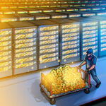 Only a Few Bitcoin Treasury Companies Will Thrive: Key Insights Revealed