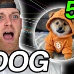 Will Dogecoin (DOGE) Double in Price During the Next Altcoin Season?