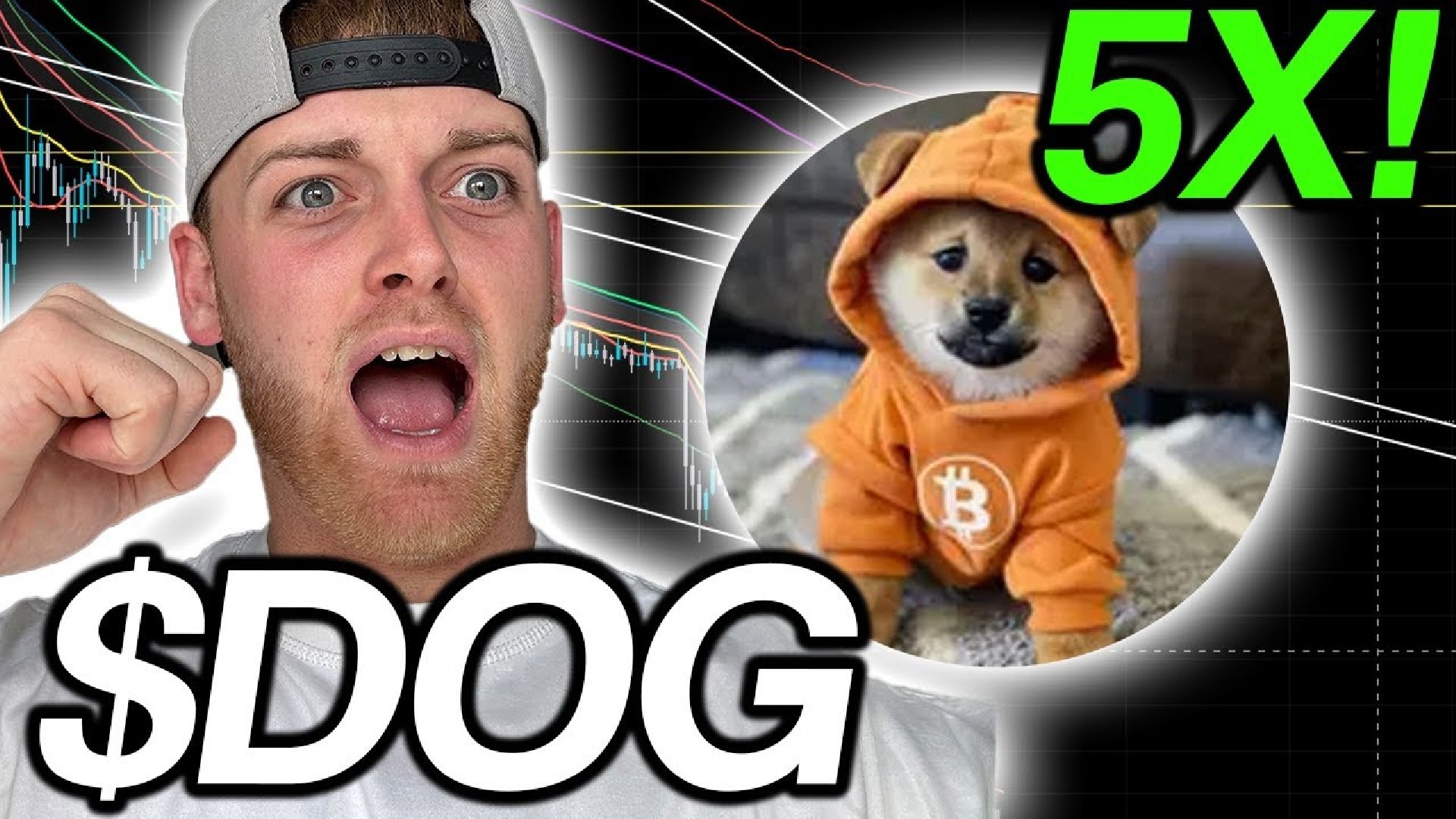 Will Dogecoin (DOGE) Double in Price During the Next Altcoin Season?