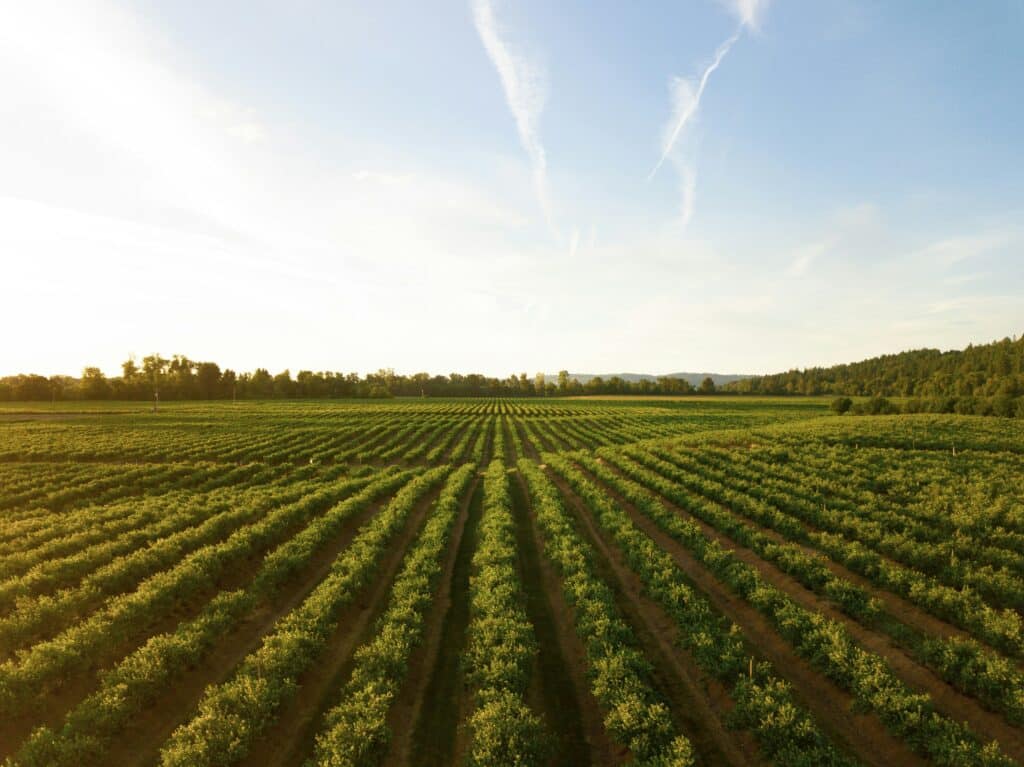 Affordable Blockchain Solutions for Small Farms: Enhance Traceability Today!