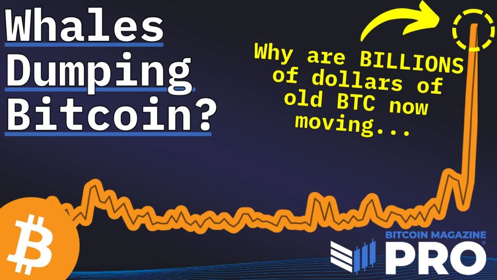 Are Bitcoin Whales Selling Off? Insights on BTC Market Movements