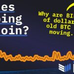 Are Bitcoin Whales Selling Off? Insights on BTC Market Movements