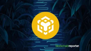 BNB Surges Over $800 as Altcoin Season Ignites Crypto Market Rally