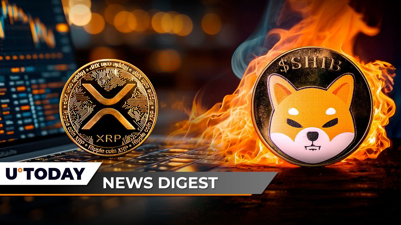 Bitcoin Surges: Key Factors Driving the Latest Crypto Market Rally