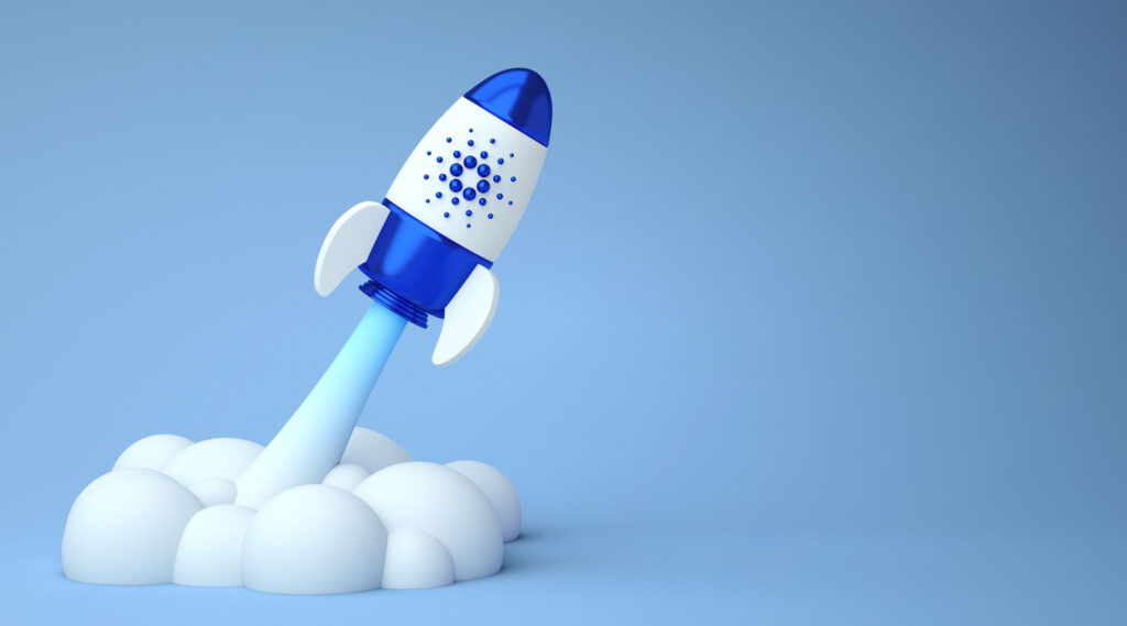 Cardano Price Surge: Whales Accumulate Ahead of NIGHT Airdrop!