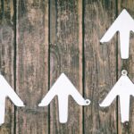 Cardano’s ADA Soars as Altcoin Trading Volume Surges in Market Rally
