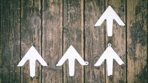 Cardano’s ADA Soars as Altcoin Trading Volume Surges in Market Rally