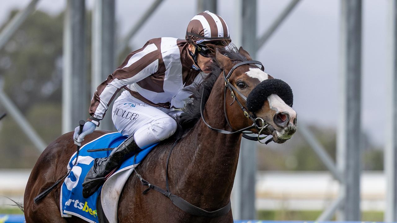Ethereum Girl’s Innovative Strategies Aim for SAJC Sires’ Produce Victory