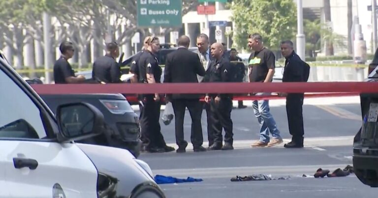 LAPD Shoots Machete-Wielding Man After Chase Near Crypto.com Arena