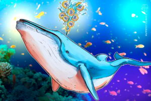 Massive $8.6B Bitcoin Whale Transfer Sparks No Sell-Off Concerns