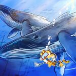 Satoshi-Era Bitcoin Whale Transfers Half Its Holdings: What It Means