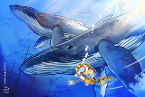 Satoshi-Era Bitcoin Whale Transfers Half Its Holdings: What It Means