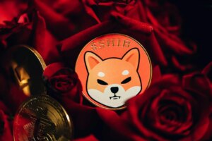 Shibarium Hits Milestone: Over 1.32 Billion Transactions Achieved!