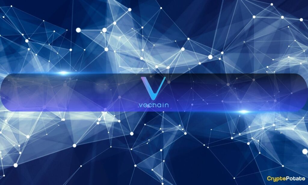 VeChain Launches $15M StarGate Staking Program Post-SEC Clarity