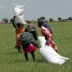 Video Airdrops Deliver Vital Food Aid to Remote South Sudan Amid US Cuts
