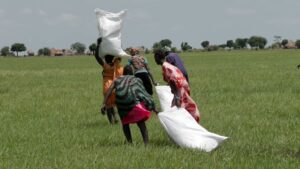 Video Airdrops Deliver Vital Food Aid to Remote South Sudan Amid US Cuts
