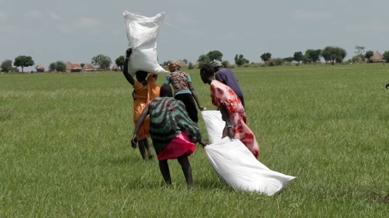 Video Airdrops Deliver Vital Food Aid to Remote South Sudan Amid US Cuts