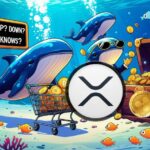 XRP Whales Cause Market Volatility: Accumulation and Dumping Trends