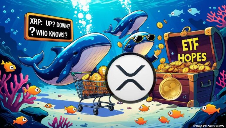 XRP Whales Cause Market Volatility: Accumulation and Dumping Trends